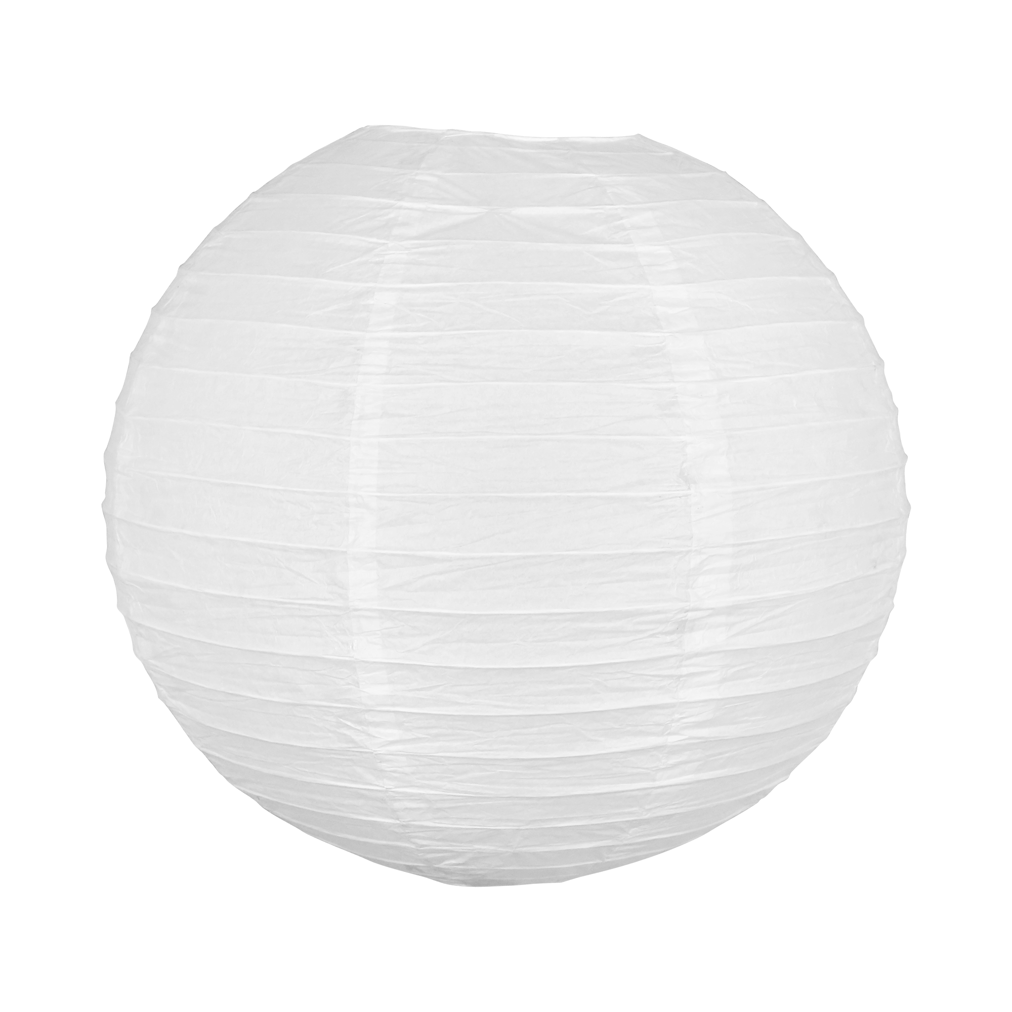 Illustration De L'emblème Du Dragon Sur Fond Blanc Logo Cercle Argenté