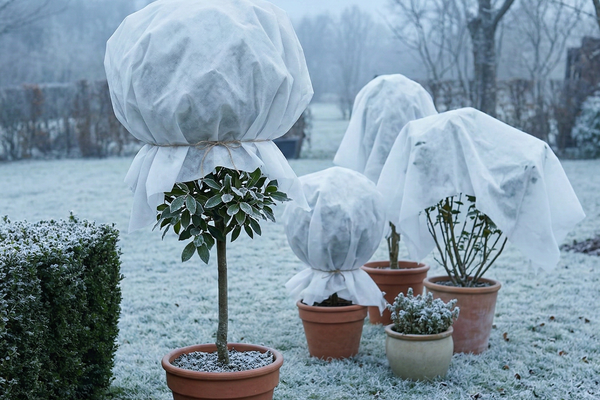 Brumeaux — Savoir-faire